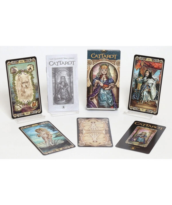 CAT-TAROT-libreria-ansuz