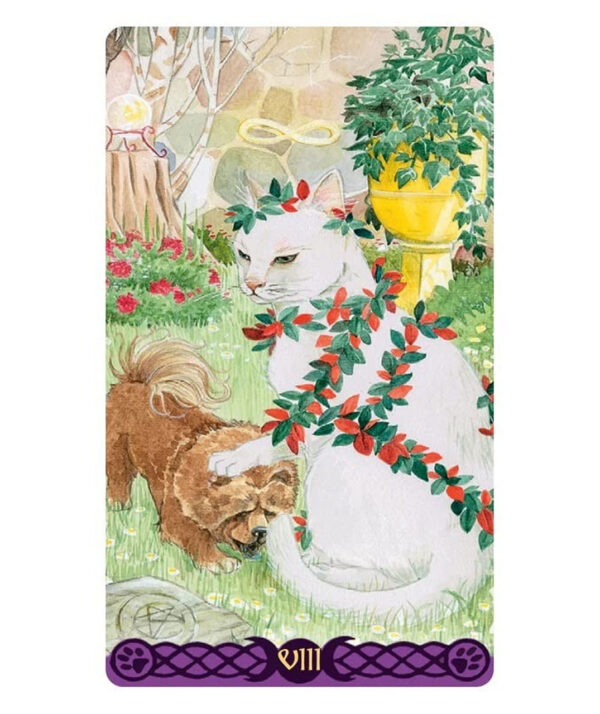 Tarot mini of Pagan Cats Libreria Ansuz