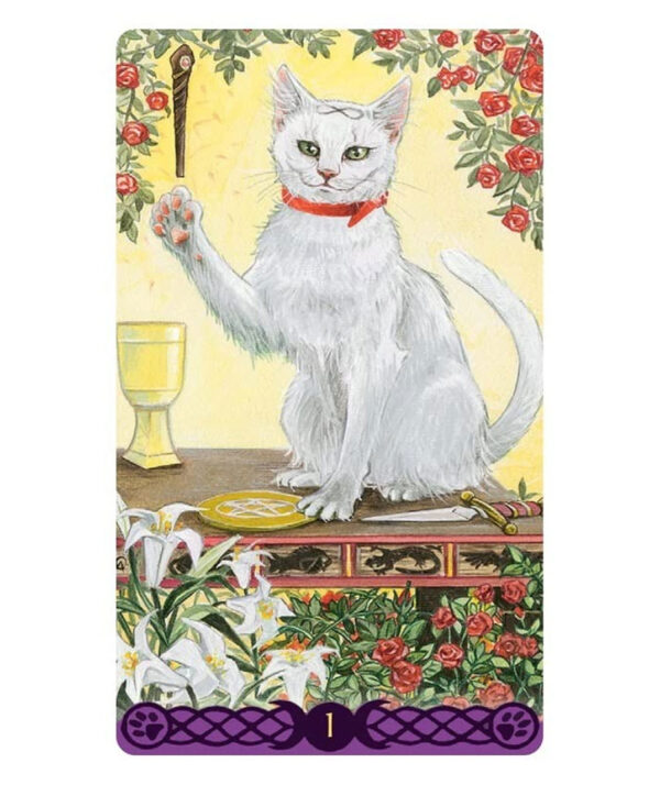 Tarot mini of Pagan Cats Libreria Ansuz